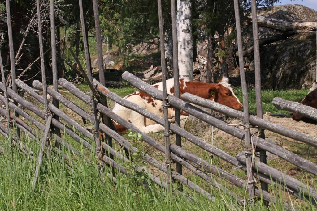 Maekelaen Lomatuvat Bed And Breakfast Korkeakoski  Εξωτερικό φωτογραφία